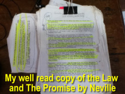 well-read-neville-goddard-book-the-law-and-the-promis